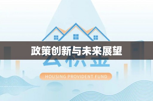 香河政策创新与未来展望